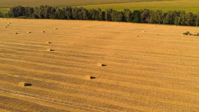 Maltería Oriental logró realizar la primera exportación de malta uruguaya a Europa (por US$ 14 millones)