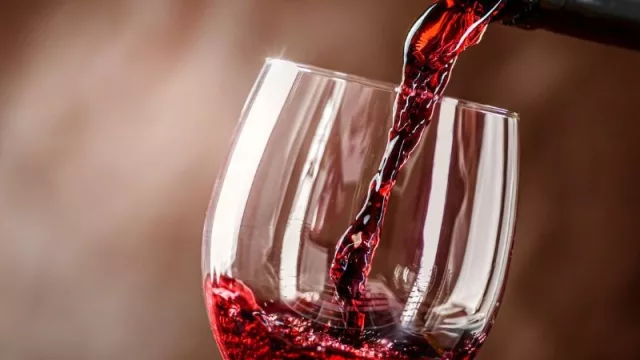 Punta Carretas Wine Festival, un evento para los enófilos