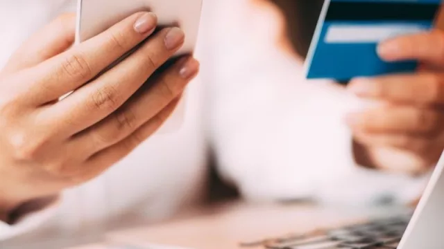 WILD Fi presenta una Flor de campaña