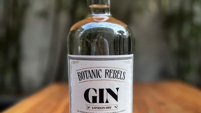 Un gin tonic para llevar desde el súper o el kiosco (Botanic Rebels la primera marca uruguaya en lata)