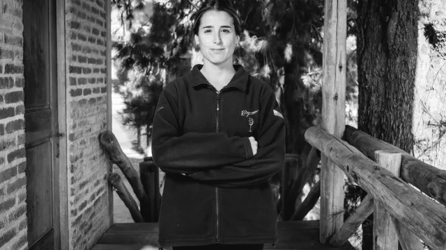 Lara Stagnari, Administración