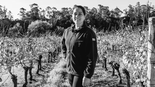 Laura Perrone, Laboratorio