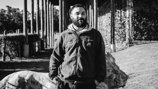 Nicolás Abreu, Viñedo