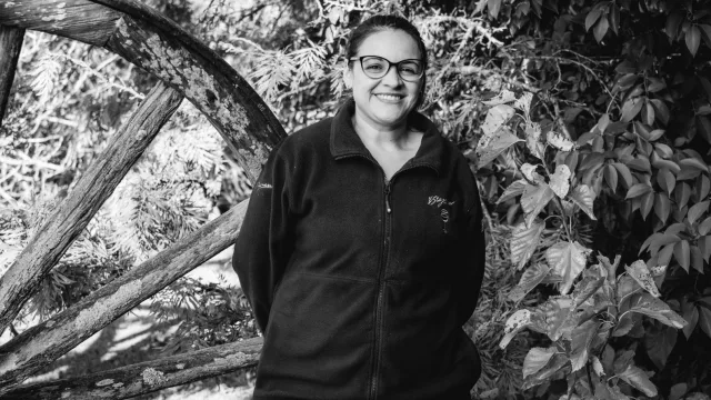 Ana Bermúdez, Etiquetado