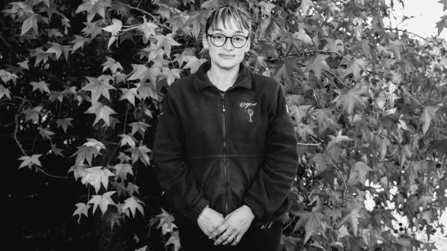 Valeria Curti, Etiquetado