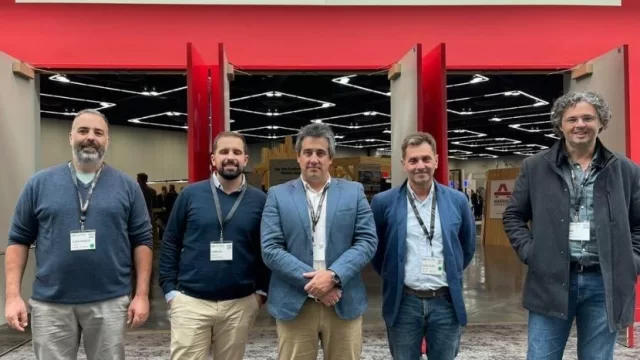 Para plantar tendencia (Arboreal y Enkel Group se afirman en la Mass Timber)