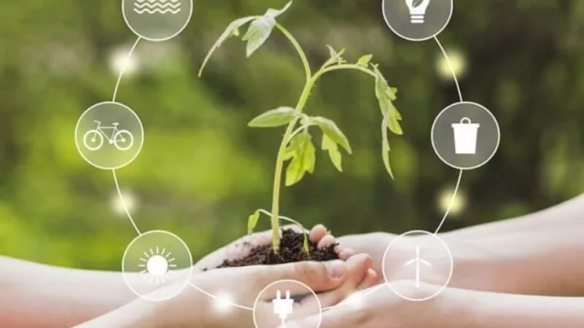 Producción más Limpia: empresa rentable y amigable con el medioambiente 