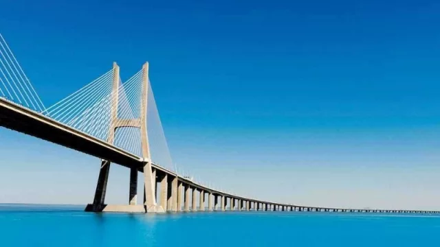 Un barco lleno de rentabilidad (Repremar se subió a la cresta de la ola)