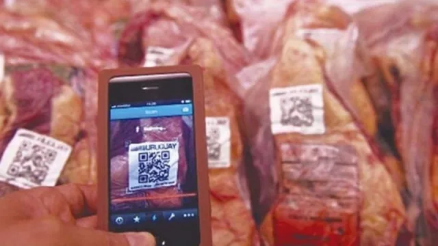 Un primer trimestre con datos auspiciosos (exportaciones UY sumaron US$ 2.896 millones, 37,4% arriba que 2021)