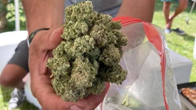 El booking cannábico no para de crecer (ya 3.000 clientes se pegaron un viaje) 