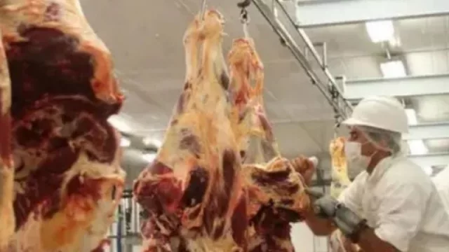 ¡Por suerte no son sagradas! (la faena de marzo podría alcanzar el récord histórico)