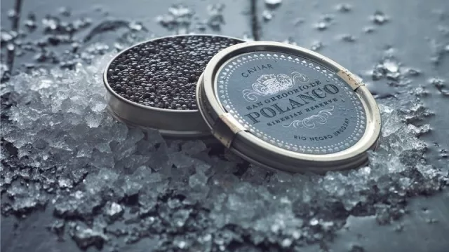 El fuerte coletazo del esturión (Polanco Caviar prevé aumentar 50% la producción en 2022 mientras navega el conflicto de Rusia contracorriente)