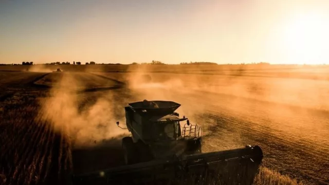 Genética en sistemas agrícola ganaderos (ADP-Agronegocios del Plata marca el rumbo)