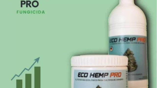 El cannabis ya tiene su fungicida propio (100% ecológico)