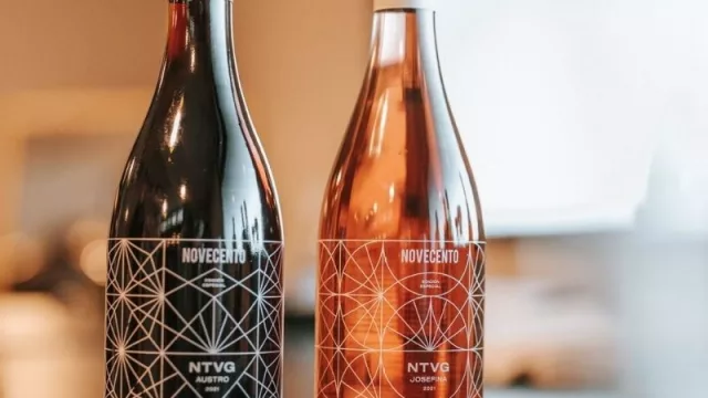 Un par de vinos que sí te van a gustar (Novecento junto a NTVG lanzan Austro y Josefina)