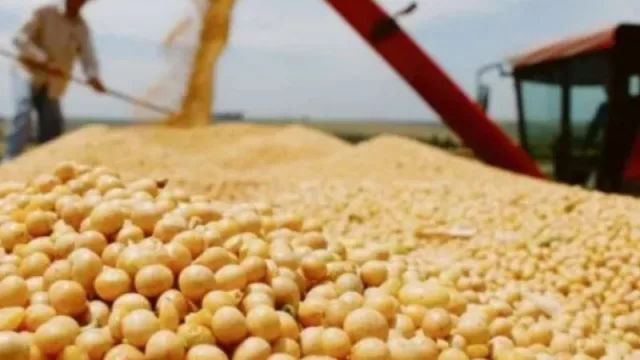 En 2022 puede darse otro boom de la soja (exportaciones alcanzarían cifras récord similares a 2014)