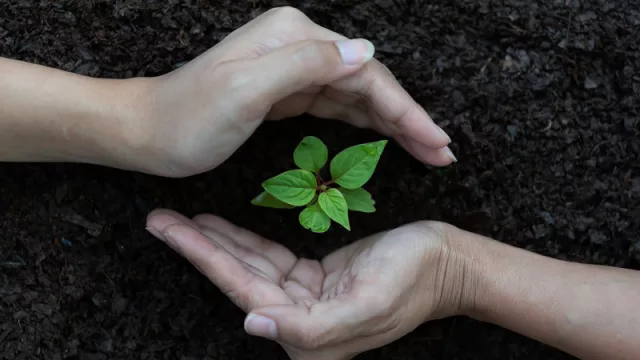 Creciente preocupación por el medioambiente y la sostenibilidad