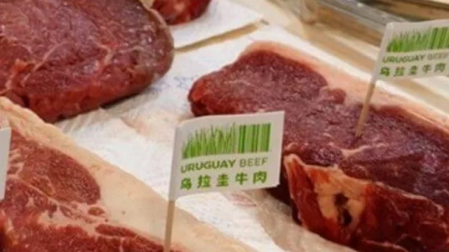 Y la vaca sigue dando de comer (exportaciones UY de febrero sumaron US$ 1.020 millones)