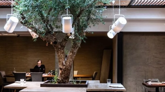 Comenzamos a invitar a almorzar a los principales referente de Uruguay (vuelve Te Invito a Comer…)