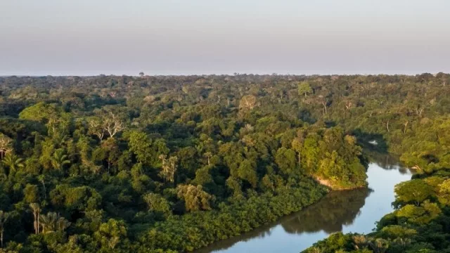 Aguada Park será carbono neutro tras acuerdo con climatech Moss.Earth y US$ 10 millones