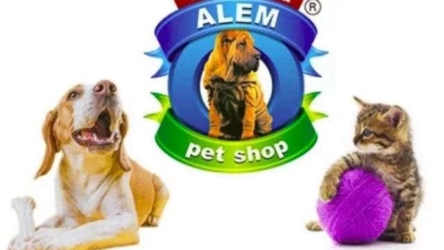 ¡Guau, guau!... está en la puerta Alem (la veterinaria comienza su expansión en UY)