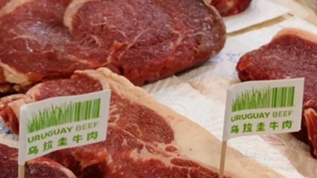 Permiso, traemos la carne… (las exportaciones de carne vacuna desde Uruguay crecieron más del 50%, mientras Argentina endurece el cepo)