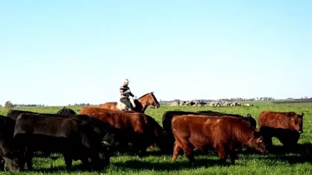 ¿Estable es lo mismo que estancado? (CERES cierra el último trimestre en 0,0%)