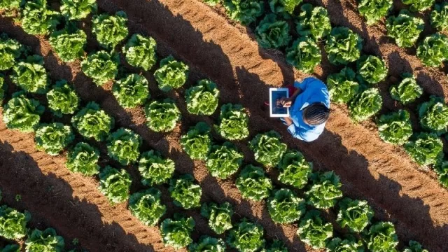 Fuerte aumento de la inversión en tecnología climática