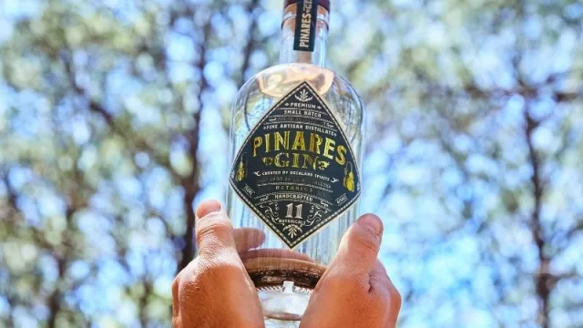 Mucho olor a pino (Gin Pinares lo promete)