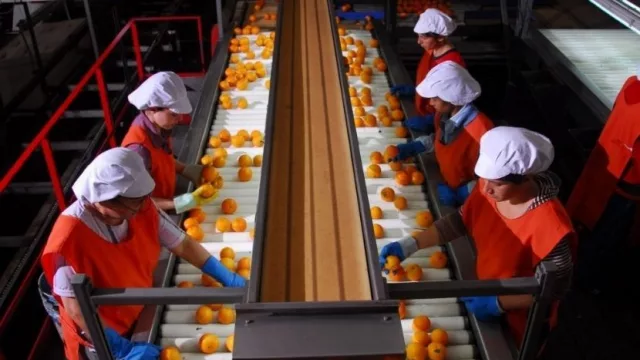 Para sacarle jugo (se anunció venta de activos de Citrícola Salteña que superan US$ 72 millones)