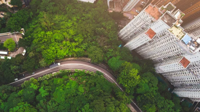 Reportes ESG, perspectiva del inversor y rol del auditor