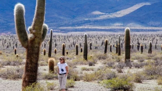 Todos los caminos conducen a Salta: el turismo finalmente logró la tan ansiada recuperación