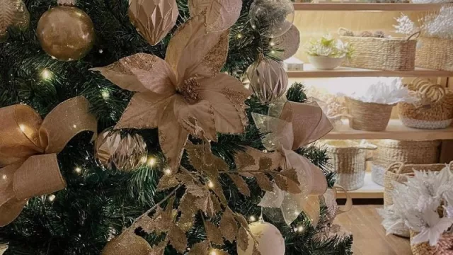 Mucho más que un negocio de chirimbolos y luces (en Effas los árboles de Navidad son sinónimo de familia)