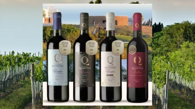 Si es Malbec UY es Quintón (la bodega Viñas del Quintón recibió reconocimientos internacionales)