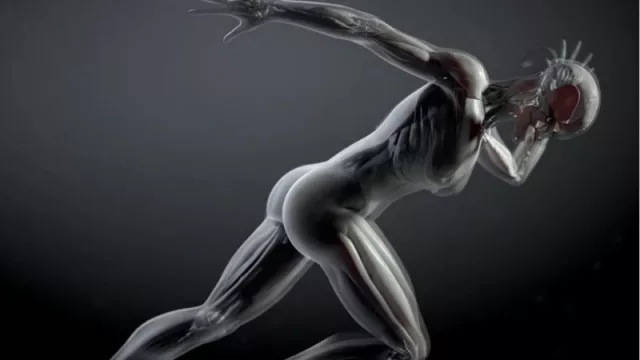 Buscan crear un población de avatares humanos (adultos y niños) para ensayos clínicos 