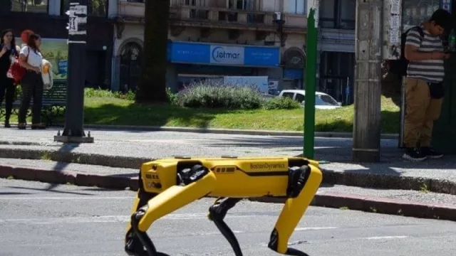 Llegó el mejor amigo robótico del hombre (y su nombre es Spot)