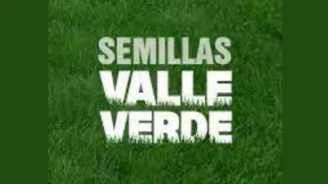 A pura semilla (Valleverde crece y hace engordar) 