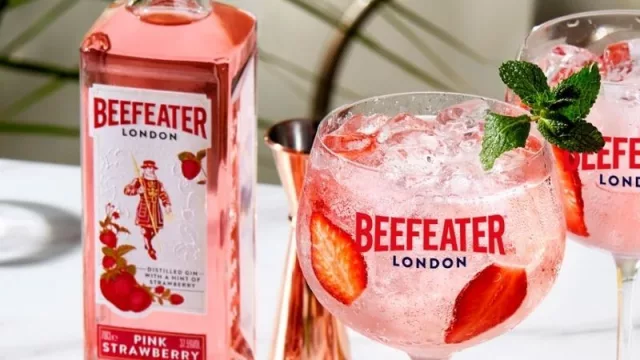 Se viene el calor y el afterwork tiene sabor a gin (octubre es el mes del gin tonic y Pernod Ricard lo celebra con historia)