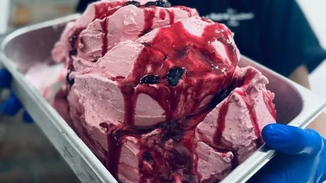 Negocios con historia: cómo la heladería La Nueva Roma sigue creciendo tras tres generaciones (y ya planifica un futuro con más sucursales) 