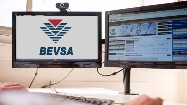 Los verdes no paran (BEVSA alcanzó los US$ 16.903 millones en lo que va de 2021)