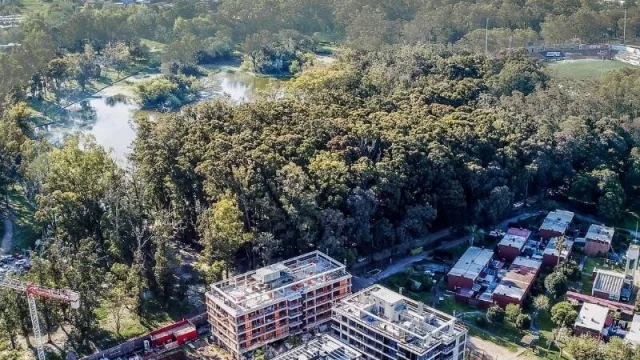 ¿Cómo es el proyecto que re descubrió el Parque Rivera?