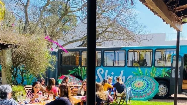  Si te gusta el vino, subí que te llevo (Winebus ya trasladó a 1.000 personas)