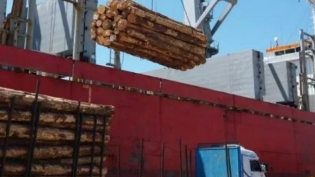 Agosto significó un alza de 40% en las exportaciones (el 8º mes de 2021 sumó US$ 999 millones en ventas)