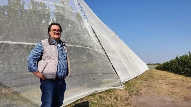 Naranjales Guarino: una gigante que exporta por millones y busca nuevos mercados en Asia