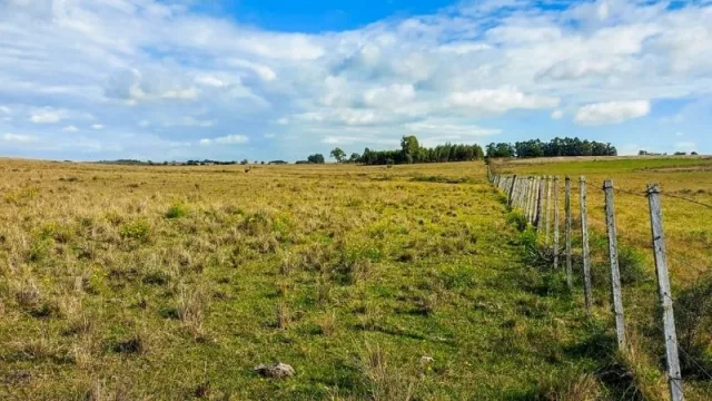 El sueño de tu chacrita privada (nace en Mirador de las Sierras desde US$ 29.500)