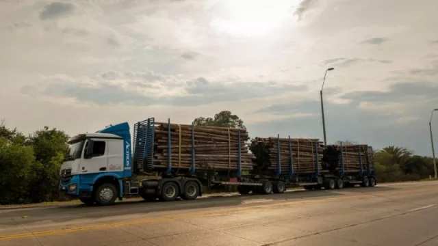  Vehículos de alto rendimiento a la carga 