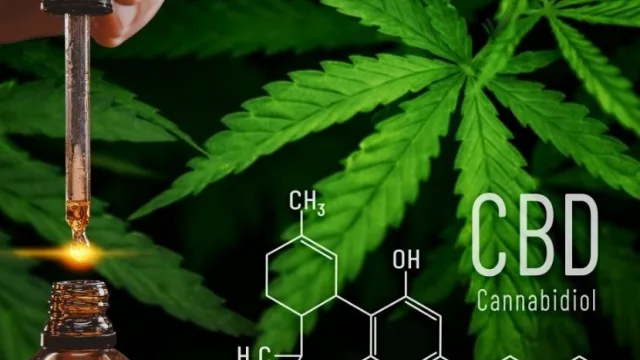Con receta no problem (el Casmu suma el cannabidiol a los fármacos que brinda)