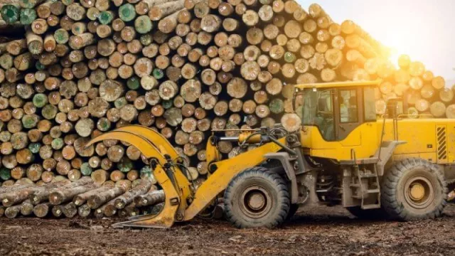 ¿Más impuestos para los madereros?