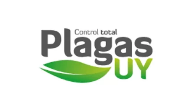 Las plagas no le tienen miedo a la pandemia (las termitas son el enemigo silencioso)