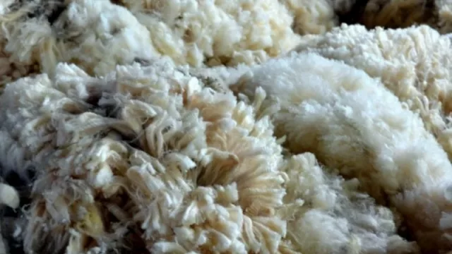 No es solo un ovillito blanco (la lana de UY está en excelente nivel y en 36 mercados)